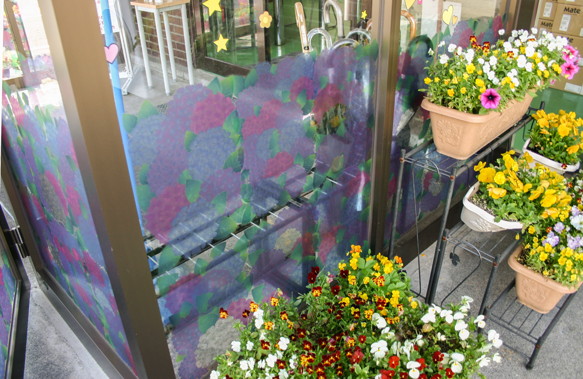 紫陽花の花