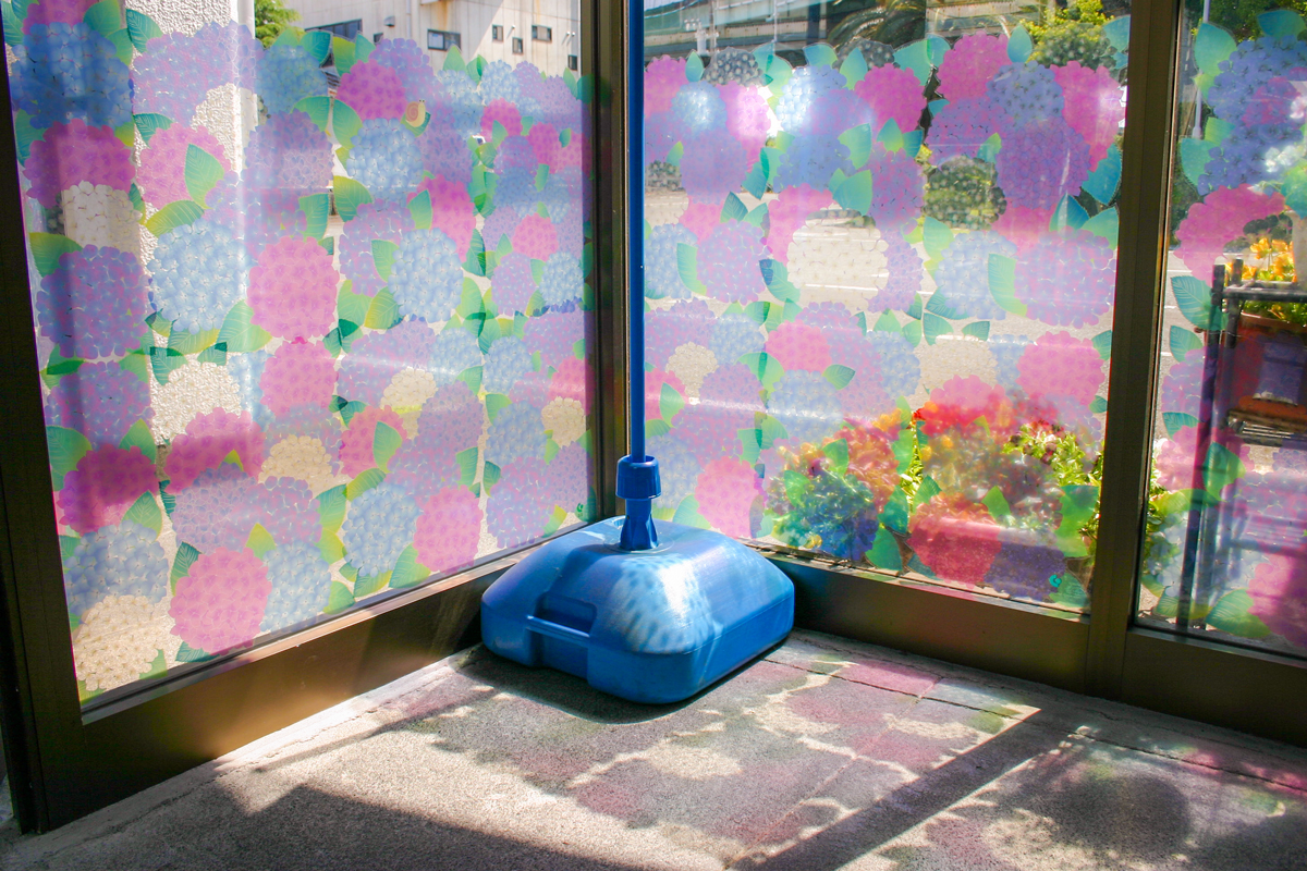 紫陽花の花